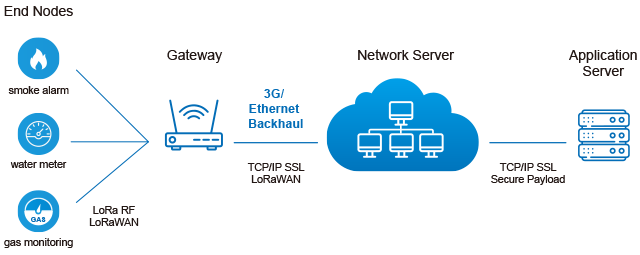 LoRaWAN architecture for AIoT network environment